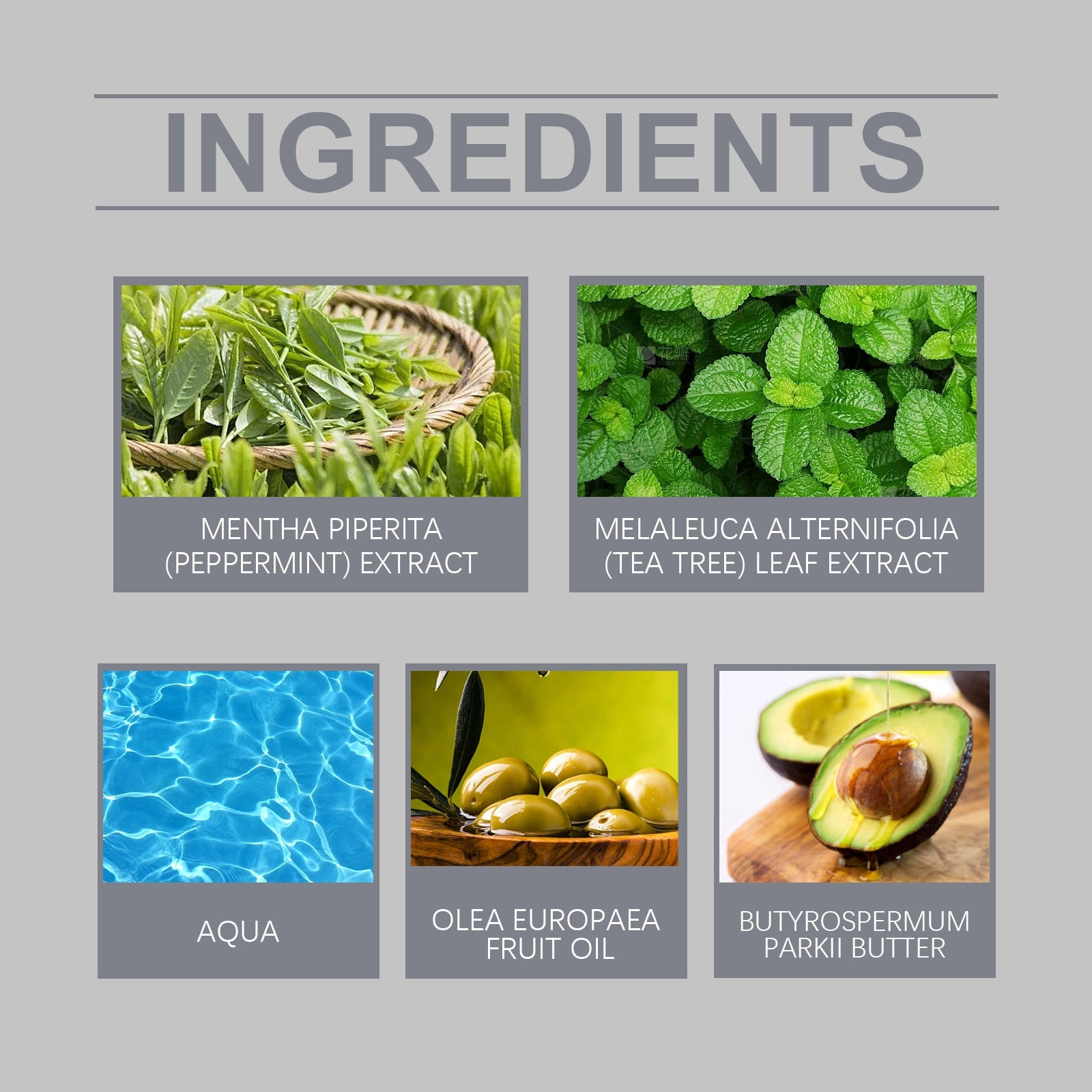 Tea Tree Essential Oil Moisturizing Body Massage Skin Care Oil