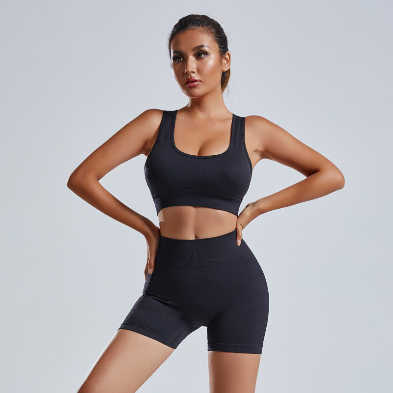 Women 2pcs Seamless Yoga Set Vest Shorts Gym Wear